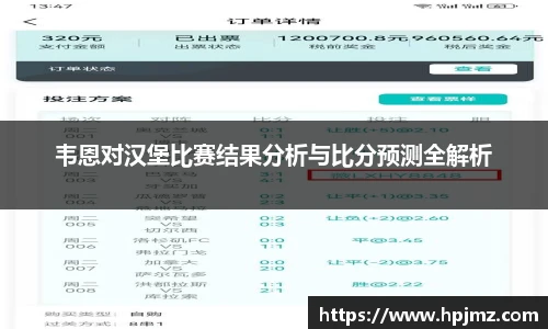 韦恩对汉堡比赛结果分析与比分预测全解析